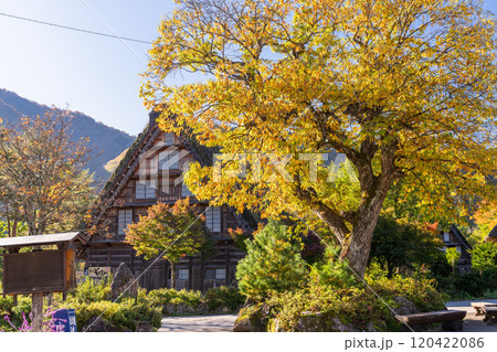 《岐阜県》秋の白川郷・紅葉の合掌造り集落 《岐阜県》秋の白川郷・紅葉の合掌造り集落 120422086