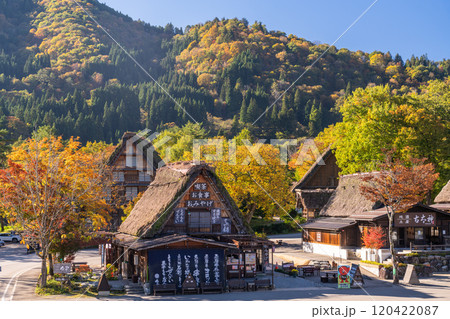 《岐阜県》秋の白川郷・紅葉の合掌造り集落 《岐阜県》秋の白川郷・紅葉の合掌造り集落 120422087