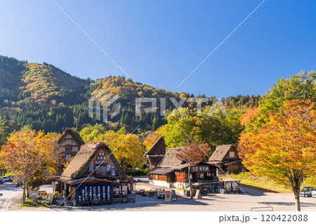 《岐阜県》秋の白川郷・紅葉の合掌造り集落 《岐阜県》秋の白川郷・紅葉の合掌造り集落 120422088