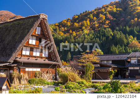 《岐阜県》秋の白川郷・紅葉の合掌造り集落 《岐阜県》秋の白川郷・紅葉の合掌造り集落 120422104