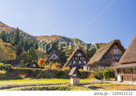 《岐阜県》秋の白川郷・紅葉の合掌造り集落 《岐阜県》秋の白川郷・紅葉の合掌造り集落 120422112