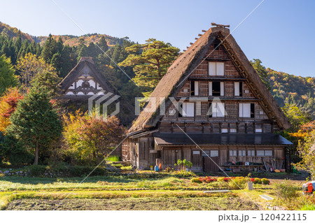 《岐阜県》秋の白川郷・紅葉の合掌造り集落 120422115