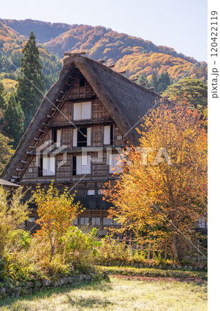 《岐阜県》秋の白川郷・紅葉の合掌造り集落 《岐阜県》秋の白川郷・紅葉の合掌造り集落 120422119