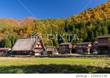 《岐阜県》秋の白川郷・紅葉の合掌造り集落 《岐阜県》秋の白川郷・紅葉の合掌造り集落 120422136