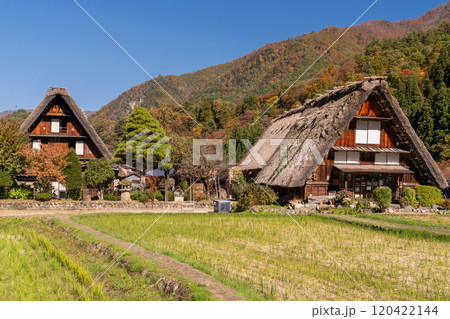 《岐阜県》秋の白川郷・紅葉の合掌造り集落 120422144