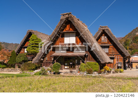 《岐阜県》秋の白川郷・紅葉の合掌造り集落 《岐阜県》秋の白川郷・紅葉の合掌造り集落 120422146