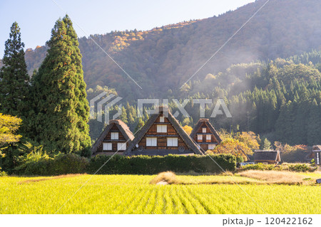 《岐阜県》秋の白川郷・紅葉の合掌造り集落 《岐阜県》秋の白川郷・紅葉の合掌造り集落 120422162