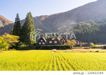 《岐阜県》秋の白川郷・紅葉の合掌造り集落 《岐阜県》秋の白川郷・紅葉の合掌造り集落 120422164