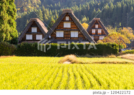 《岐阜県》秋の白川郷・紅葉の合掌造り集落 《岐阜県》秋の白川郷・紅葉の合掌造り集落 120422172