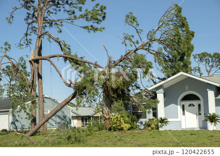 Hurricane damage to a tree on Florida house backyard. Fallen down big tree after tropical storm winds. Consequences of natural disaster Hurricane damage to a tree on Florida house backyard. Fallen down big tree after tropical storm winds. Consequences of natural disaster 120422655