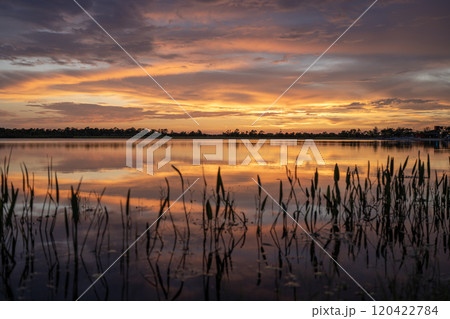 Evening landscape of Florida wetland flora. Lake water in southern tropical swamp at sunset Evening landscape of Florida wetland flora. Lake water in southern tropical swamp at sunset 120422784