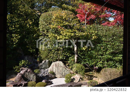 退蔵院 方丈から見る元信の庭【名勝史跡庭園】 退蔵院 方丈から見る元信の庭【名勝史跡庭園】 120422832