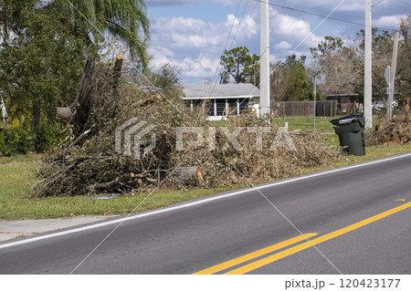 Cut down and fallen trees branches disposed in heaps on street side after hurricane severely damaged houses in Florida mobile home residential area. Consequences of natural disaster Cut down and fallen trees branches disposed in heaps on street side after hurricane severely damaged houses in Florida mobile home residential area. Consequences of natural disaster 120423177