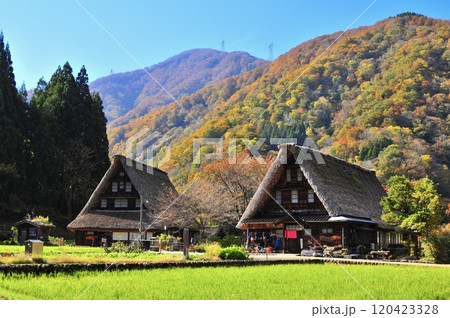 五箇山(菅沼)合掌集落 五箇山(菅沼)合掌集落 120423328