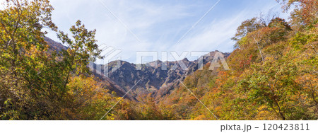 群馬県 紅葉したマチガ沢から見る谷川岳【上信越高原国立公園】みなかみ町 群馬県 紅葉したマチガ沢から見る谷川岳【上信越高原国立公園】みなかみ町 120423811
