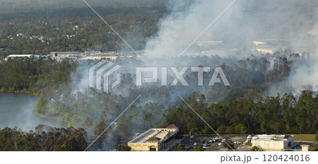 Aerial view of large wildfire burning severely in Florida jungle woods. Hot flames with dense smoke in tropical forest Aerial view of large wildfire burning severely in Florida jungle woods. Hot flames with dense smoke in tropical forest 120424016