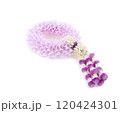 Fresh flower garland on white background 120424301