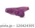 Fresh purple sweet potato on white background 120424305