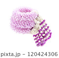 Fresh flower garland on white background 120424306