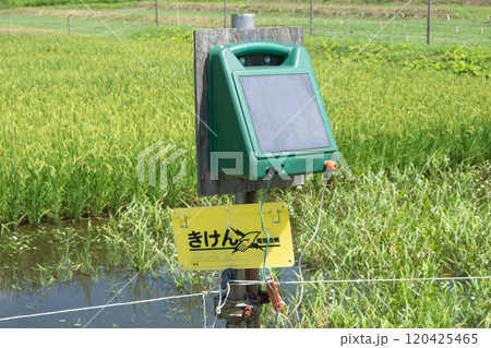ソーラーパワー式電気柵のイメージ　(写真素材) 120425465