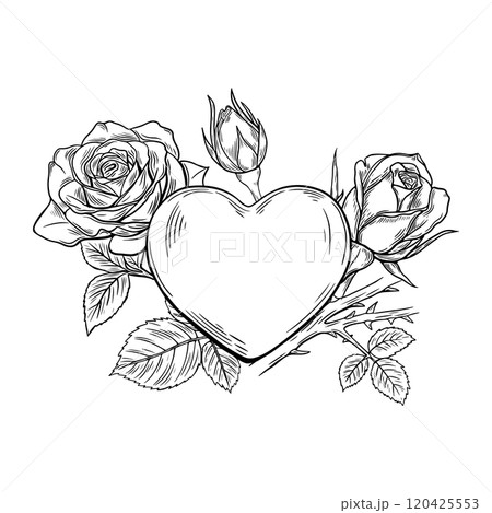 Heart with rose, love, engraving, black line art. For your inscription with copy space. 120425553