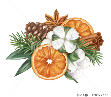 Oranges with fir branches, cotton, cinnamon in a winter composition. Handmade eco-friendly decor of natural materials for a sustainable Christmas. For holiday cards and design. Isolated illustration 120427432