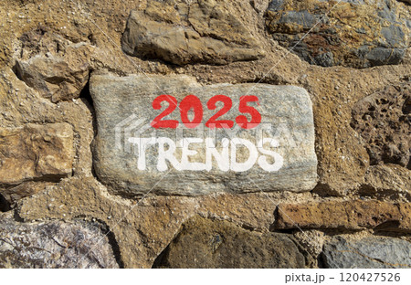 Planning 2025 trends new year symbol. Concept words 2025 Trends on beautiful grey stone. Beautiful big stone wall background. Business 2025 trends new year concept. Copy space. 120427526