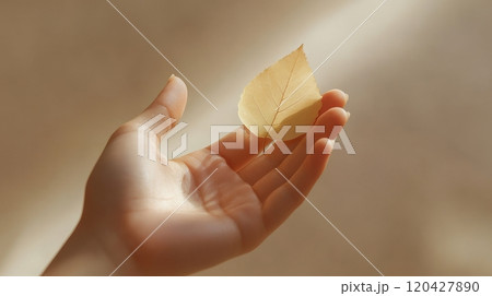 Hand holding a yellow leaf in soft sunlight, warm and serene moment. Nature and tranquility concept 120427890