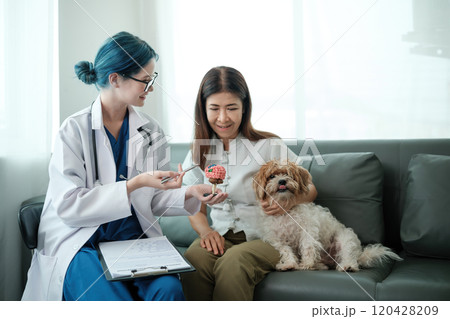 A woman and a dog are sitting on a couch while a doctor gives the dog a shot A woman and a dog are sitting on a couch while a doctor gives the dog a shot 120428209