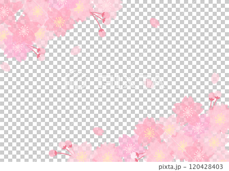 桜背景 桜背景 120428403
