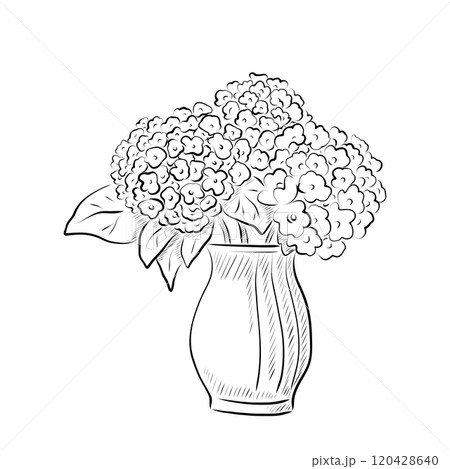 Line art. Vase with hydrangea flowers in line art style. 120428640