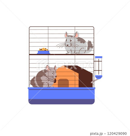 Vector illustration with two gray chinchillas with a cute ears, sitting in a cozy house 120429090
