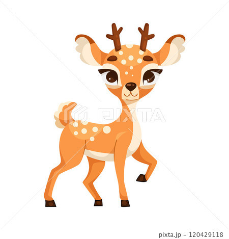 Cute Reindeer Baby with Spotted Body and Antler Standing Vector Illustration Cute Reindeer Baby with Spotted Body and Antler Standing Vector Illustration 120429118