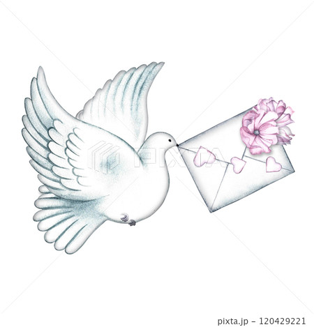 A carrier pigeon holding an envelope decorated with pink flowers and hearts. A hand-drawn watercolor illustration. A letter with declarations of love, Valentine's Day, invitations, wedding greetings. 120429221