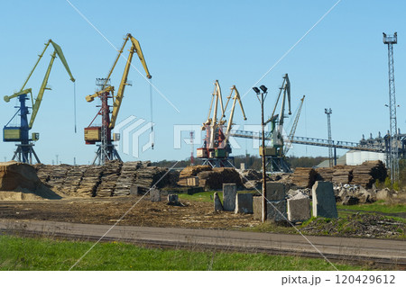 Logs are stacked in the port for loading onto ships. 120429612