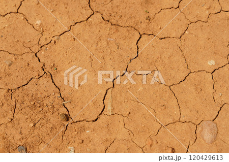 Cracked texture of dried clay earth, close-up 120429613