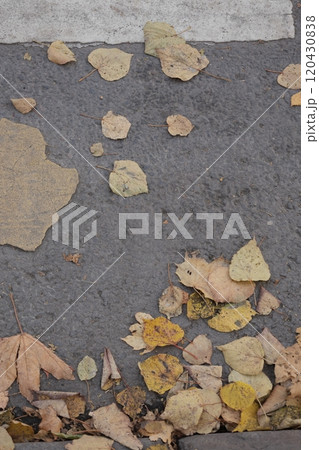 outdated road markings and broken asphalt. pedestrian crossing top view. autumn leaves 120430838