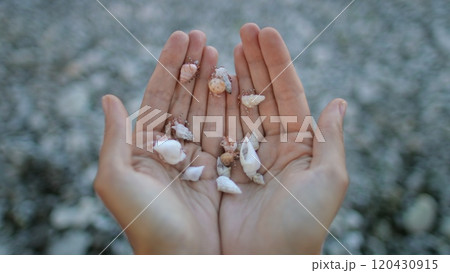 Woman cupping her hands full of small seashells with tiny hermit crabs living inside them, on a blurred beach background Woman cupping her hands full of small seashells with tiny hermit crabs living inside them, on a blurred beach background 120430915