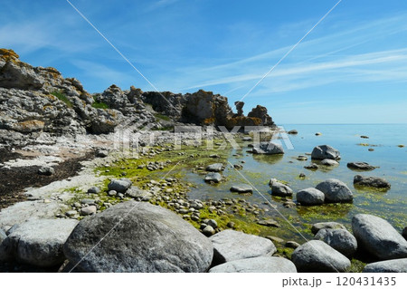 Holmhallar nature reserve with rauk field, on southern Gotland, Sweden. 120431435