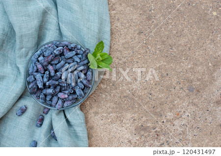 honeysuckle 120431497