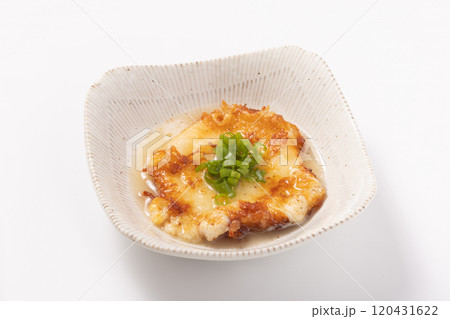 モッツァレラチーズ 揚げだし モッツァレラチーズ 揚げだし 120431622