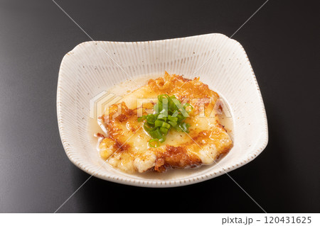 モッツァレラチーズ 揚げだし モッツァレラチーズ 揚げだし 120431625
