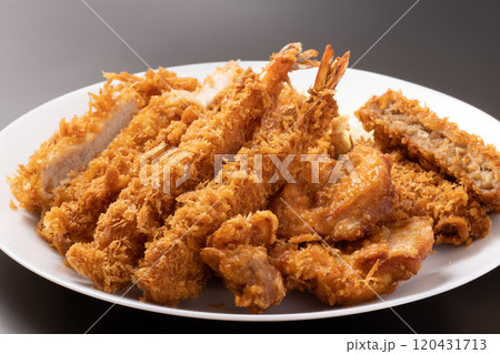 とんかつ ヒレカツ 海老フライ から揚げ とんかつ ヒレカツ 海老フライ から揚げ 120431713
