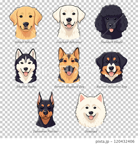 8種流行的大型犬種的臉部插圖 120432406