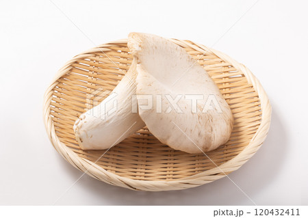 ［宮城県産］あわび茸 120432411