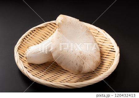 ［宮城県産］あわび茸 120432413