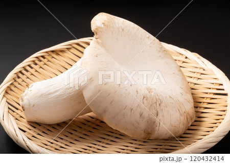 ［宮城県産］あわび茸 120432414