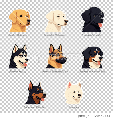 Portrait-style illustrations of 8 popular large dog breeds Portrait-style illustrations of 8 popular large dog breeds 120432433