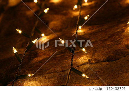 ほのあかり　仄明かり 120432793