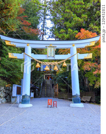 宝登山神社二の鳥居(縦) 宝登山神社二の鳥居(縦) 120432811